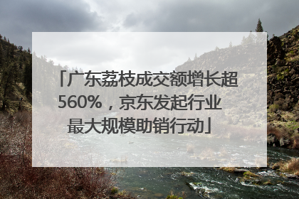 广东荔枝成交额增长超560%，京东发起行业最大规模助销行动