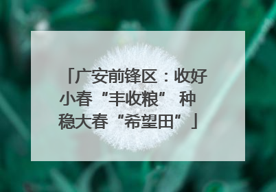 广安前锋区：收好小春“丰收粮” 种稳大春“希望田”