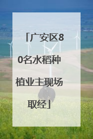 广安区80名水稻种植业主现场取经