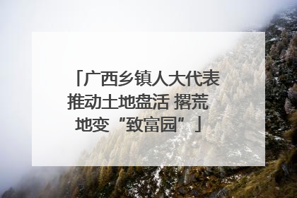 广西乡镇人大代表推动土地盘活 撂荒地变“致富园”