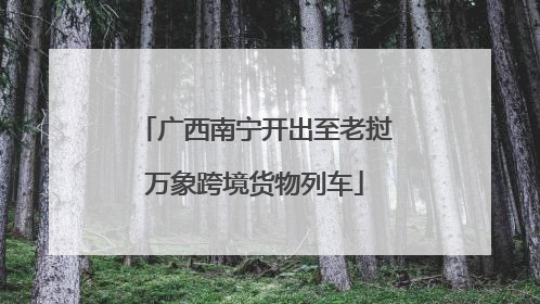 广西南宁开出至老挝万象跨境货物列车