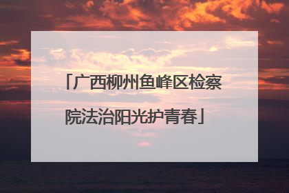 广西柳州鱼峰区检察院法治阳光护青春