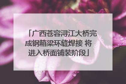 广西苍容浔江大桥完成钢箱梁环缝焊接 将进入桥面铺装阶段