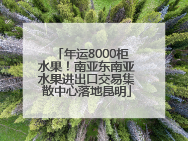 年运8000柜水果！南亚东南亚水果进出口交易集散中心落地昆明