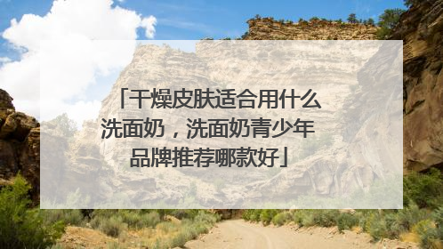 干燥皮肤适合用什么洗面奶，洗面奶青少年品牌推荐哪款好