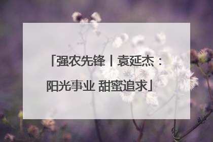 强农先锋丨袁延杰：阳光事业 甜蜜追求