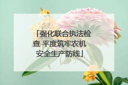 强化联合执法检查 平度筑牢农机安全生产防线