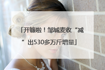 开镰啦！邹城麦收“减”出530多万斤增量