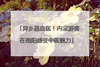 异乡遇良医！内蒙游客在南阳感受中医魅力