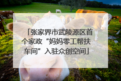 张家界市武陵源区首个家政“妈妈零工帮扶车间”入驻众创空间