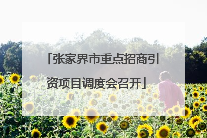 张家界市重点招商引资项目调度会召开