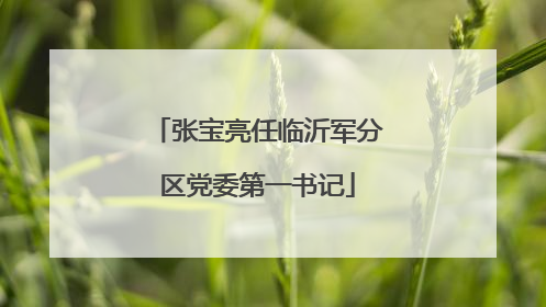 张宝亮任临沂军分区党委第一书记