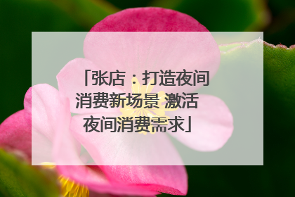 张店：打造夜间消费新场景 激活夜间消费需求