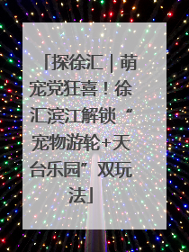 探徐汇｜萌宠党狂喜！徐汇滨江解锁“宠物游轮+天台乐园”双玩法