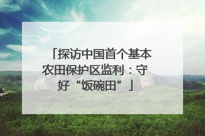 探访中国首个基本农田保护区监利：守好“饭碗田”