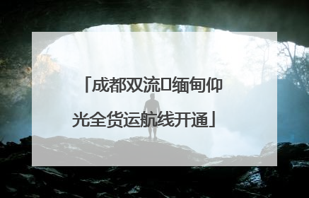 成都双流⇌缅甸仰光全货运航线开通
