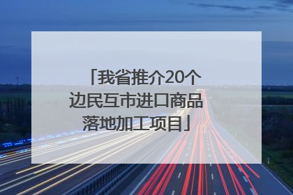 我省推介20个边民互市进口商品落地加工项目