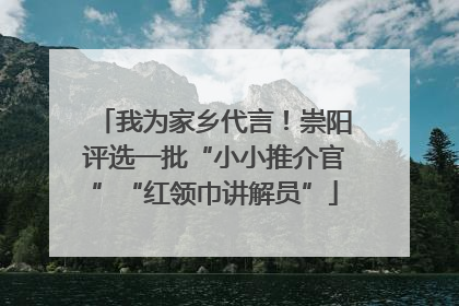 我为家乡代言！崇阳评选一批“小小推介官”“红领巾讲解员”