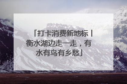 打卡消费新地标丨衡水湖边走一走，有水有鸟有乡愁