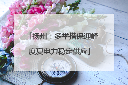扬州：多举措保迎峰度夏电力稳定供应