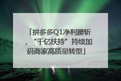 拼多多Q1净利腰斩，“千亿扶持”持续加码商家高质量转型