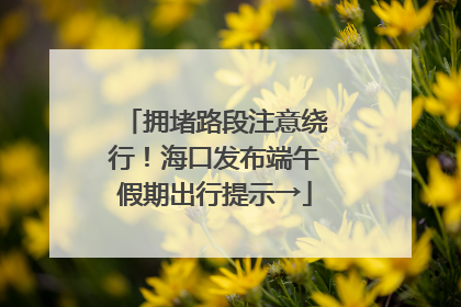 拥堵路段注意绕行！海口发布端午假期出行提示→
