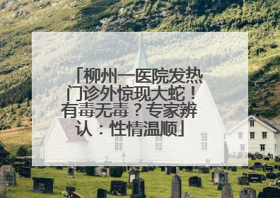 柳州一医院发热门诊外惊现大蛇！有毒无毒？专家辨认：性情温顺
