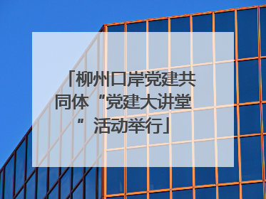 柳州口岸党建共同体“党建大讲堂”活动举行
