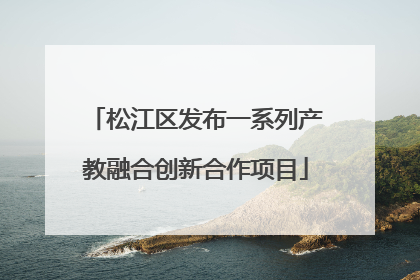 松江区发布一系列产教融合创新合作项目