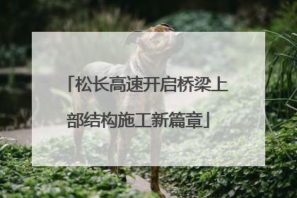 松长高速开启桥梁上部结构施工新篇章