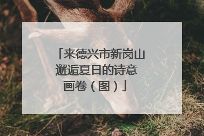 来德兴市新岗山 邂逅夏日的诗意画卷（图）