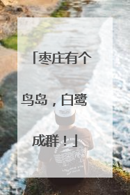 枣庄有个鸟岛，白鹭成群！