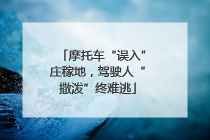 摩托车“误入”庄稼地，驾驶人“撒泼”终难逃