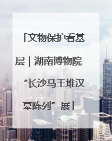 文物保护看基层｜湖南博物院“长沙马王堆汉墓陈列”展
