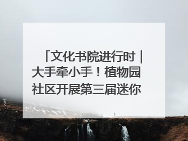文化书院进行时｜大手牵小手！植物园社区开展第三届迷你马拉松活动