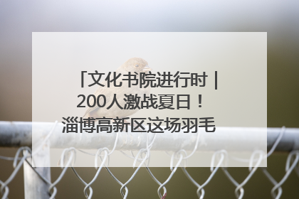文化书院进行时｜200人激战夏日！淄博高新区这场羽毛球比赛太酷