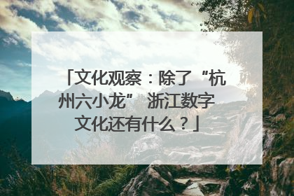 文化观察：除了“杭州六小龙” 浙江数字文化还有什么？