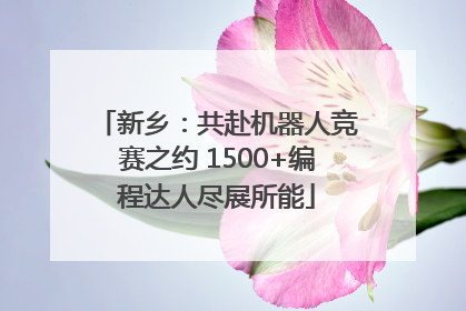 新乡：共赴机器人竞赛之约 1500+编程达人尽展所能