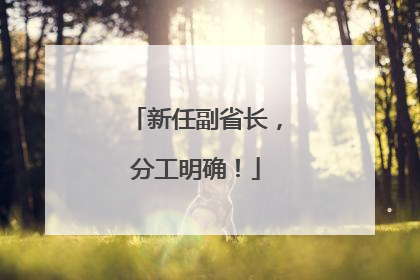 新任副省长，分工明确！