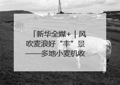 新华全媒+｜风吹麦浪好“丰”景——多地小麦机收一线见闻