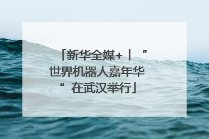 新华全媒+丨“世界机器人嘉年华”在武汉举行