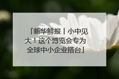 新华鲜报丨小中见大！这个博览会专为全球中小企业搭台