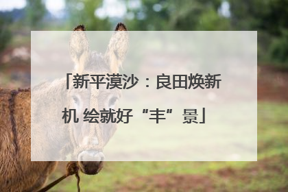 新平漠沙：良田焕新机 绘就好“丰”景