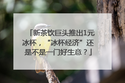 新茶饮巨头推出1元冰杯，“冰杯经济”还是不是一门好生意？