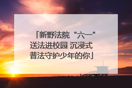 新野法院“六一”送法进校园 沉浸式普法守护少年的你