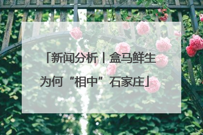 新闻分析丨盒马鲜生为何“相中”石家庄