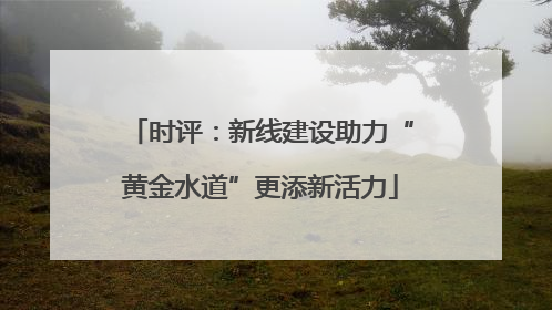 时评：新线建设助力“黄金水道”更添新活力