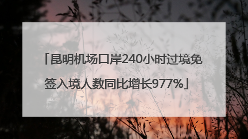 昆明机场口岸240小时过境免签入境人数同比增长977%