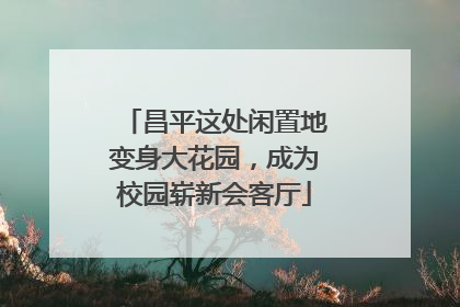 昌平这处闲置地变身大花园，成为校园崭新会客厅