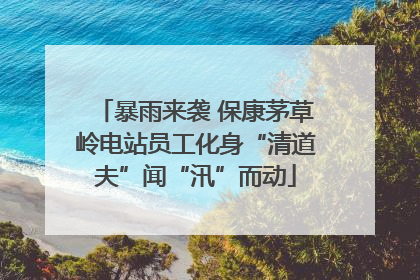 暴雨来袭 保康茅草岭电站员工化身“清道夫”闻“汛”而动
